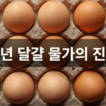 2025년 달걀 물가의 진실은?