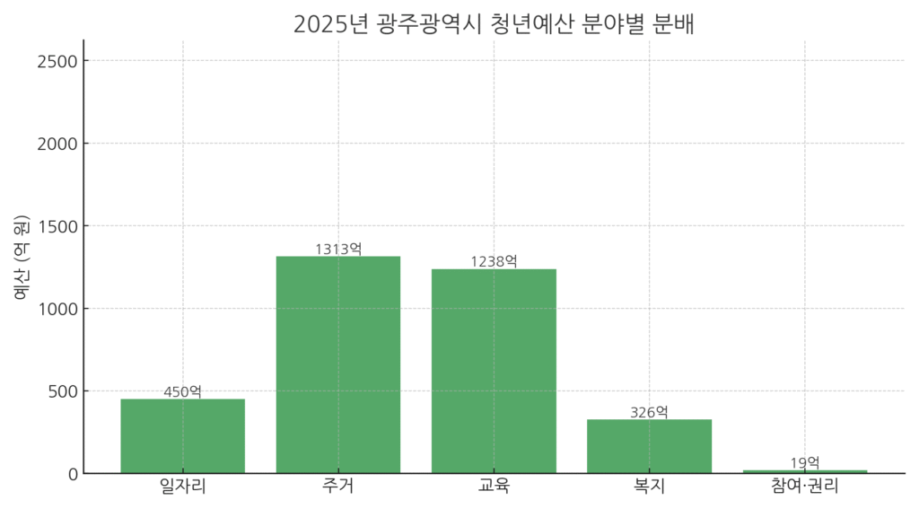 2025년 광주광역시 청년예산 분야별 분배