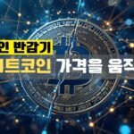 비트코인 반감기, 정말 비트코인 가격을 움직일까?